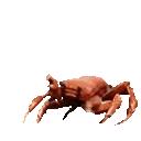 CRAB